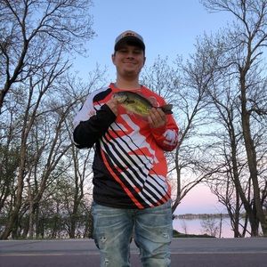 Meet your Posher, Dylan